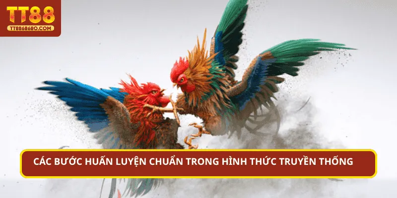 Các bước huấn luyện chuẩn trong hình thức truyền thống