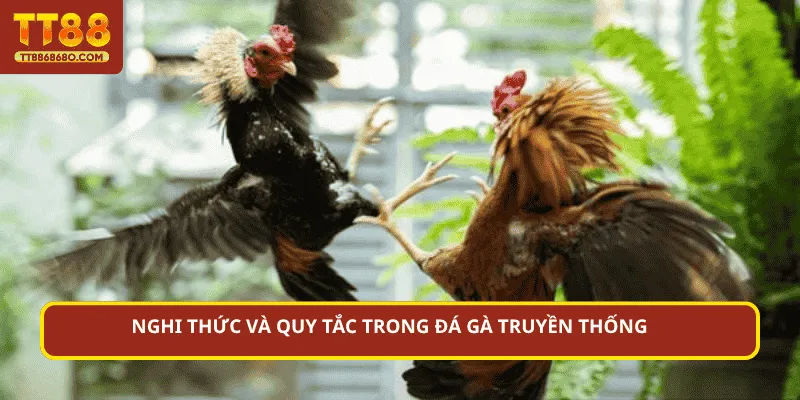 Nghi thức và quy tắc trong đá gà truyền thống